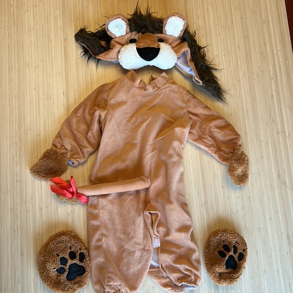 Little Lion Baby Costume - Picture 6 of 14